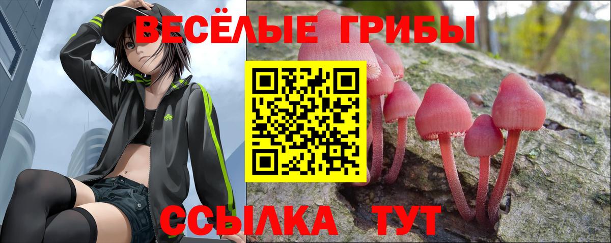 Псилоцибиновые грибы ЛСД  Псилоцибиновые грибы прущие грибы  Томск  Вход с VPN 