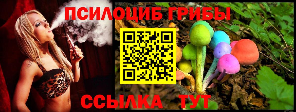 Псилоцибиновые грибы прущие грибы Томск