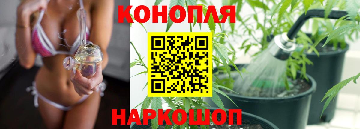 Бошки Шишки ГИДРОПОН Томск